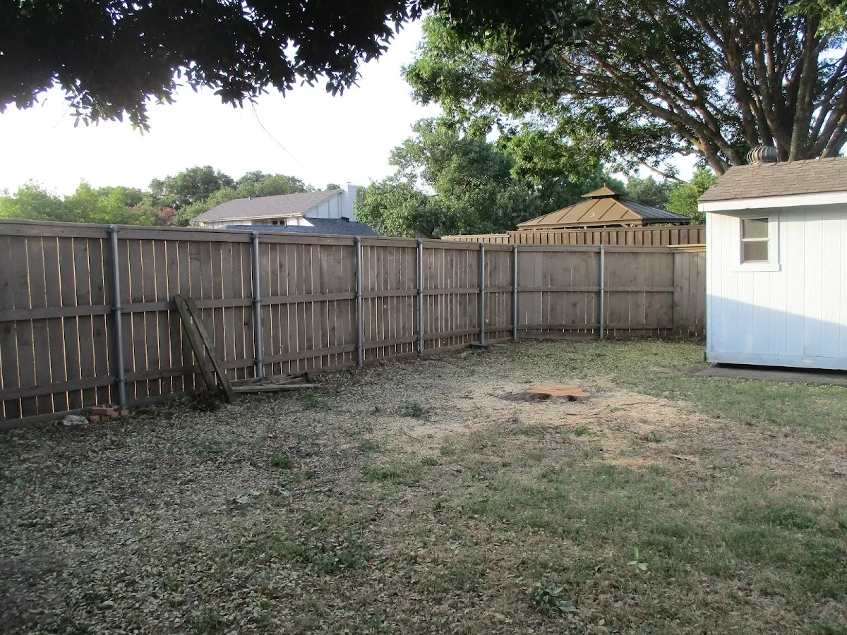 Cleared yard after professional tree removal in Colony